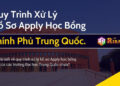 Quy Trình Xử Lý Hồ Sơ Học Bổng Chính Phủ Trung Quốc