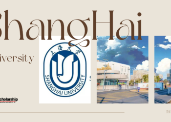 Đại học Thượng Hải và Học bổng CIS của tôi