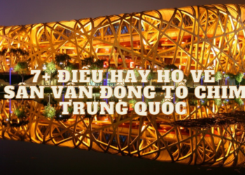 7+ điều hay ho về Sân vận động Tổ chim Trung Quốc