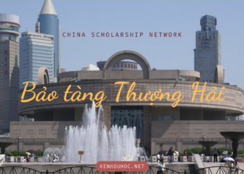 101 điều Bảo tàng Thượng Hải hấp dẫn bạn